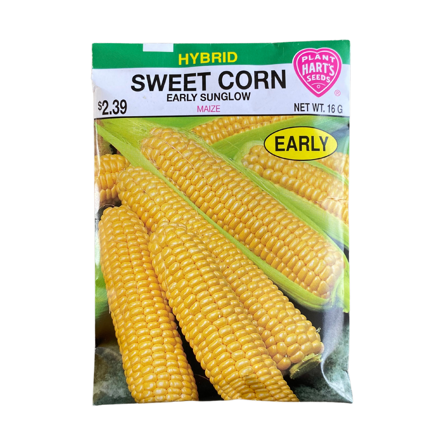 Corn Early Sunglow Yellow