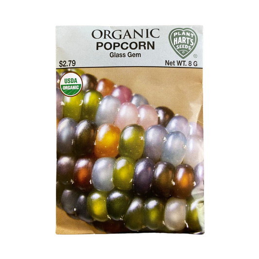 Organic Corn Glass Gems Ornamental/Popcorn
