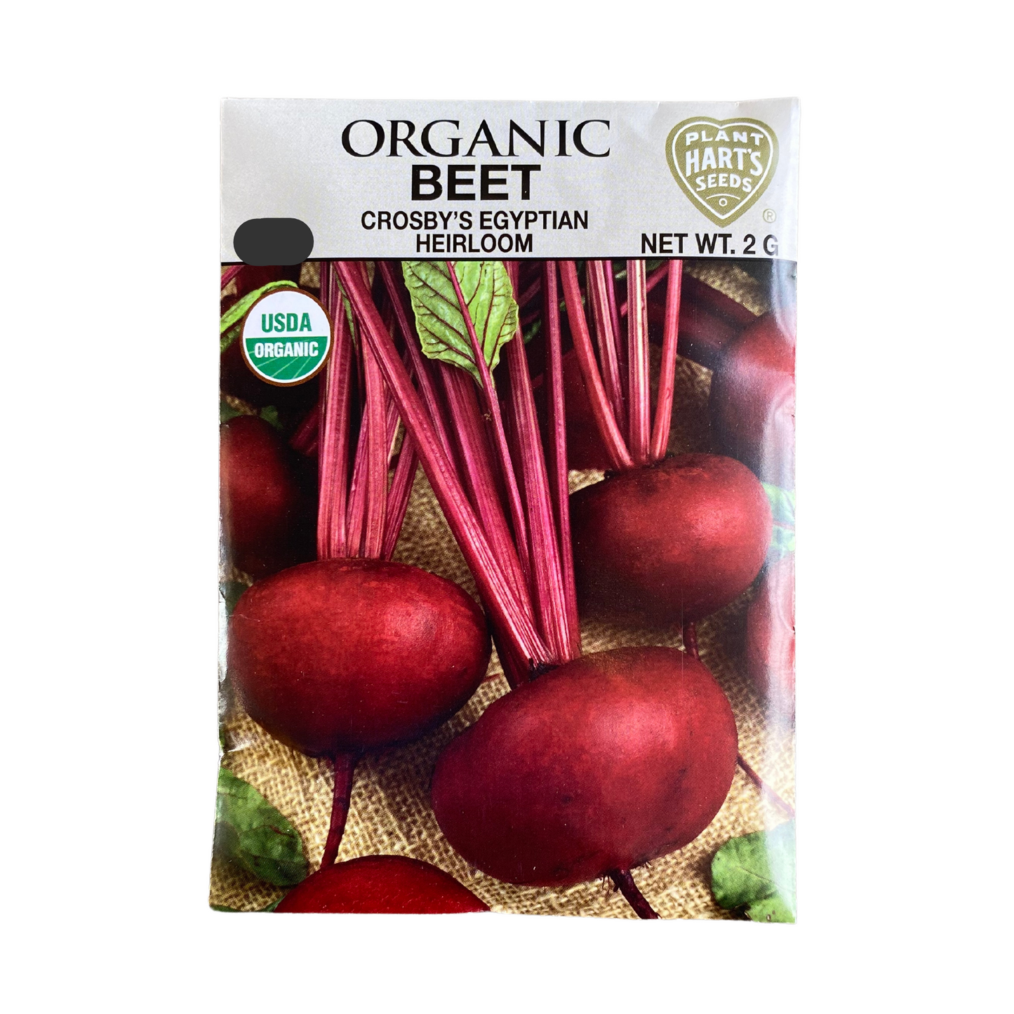 Organic Beet Crosby Egyptian