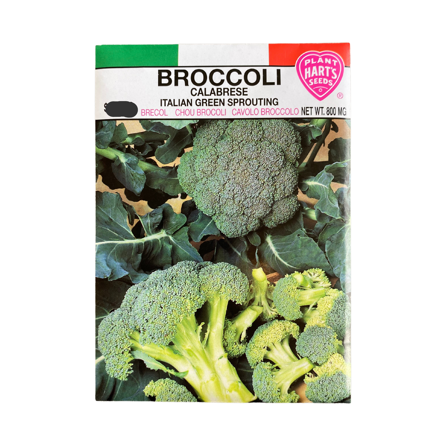 Broccoli Calabrese