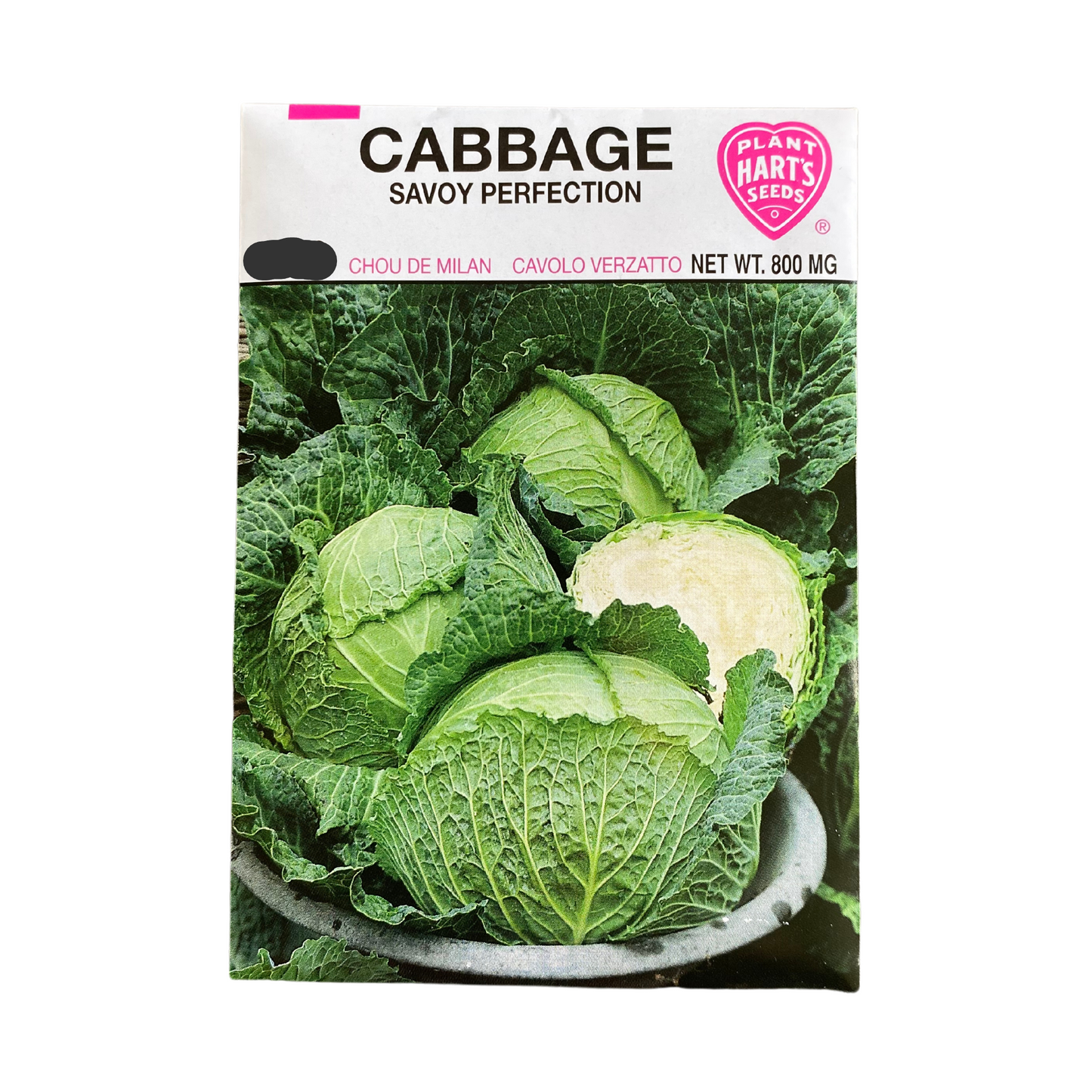 Cabbage Savoy Perfection