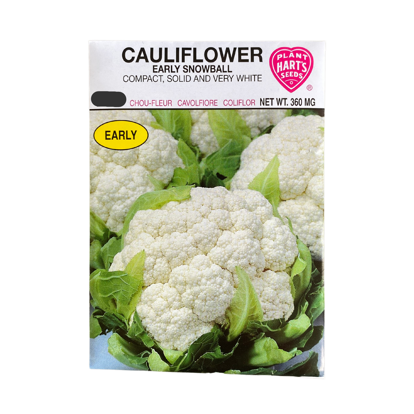 Cauliflower Early Snowball