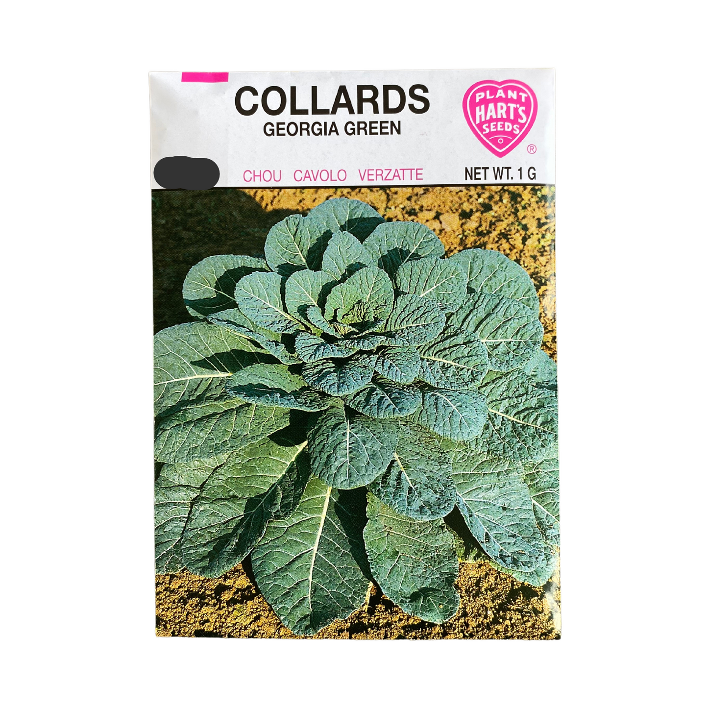 Collards Georgia Green