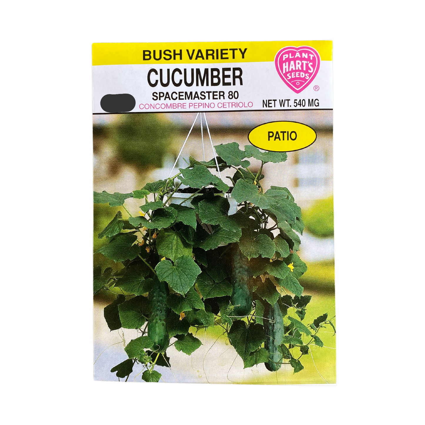 Cucumber Spacemaster 80