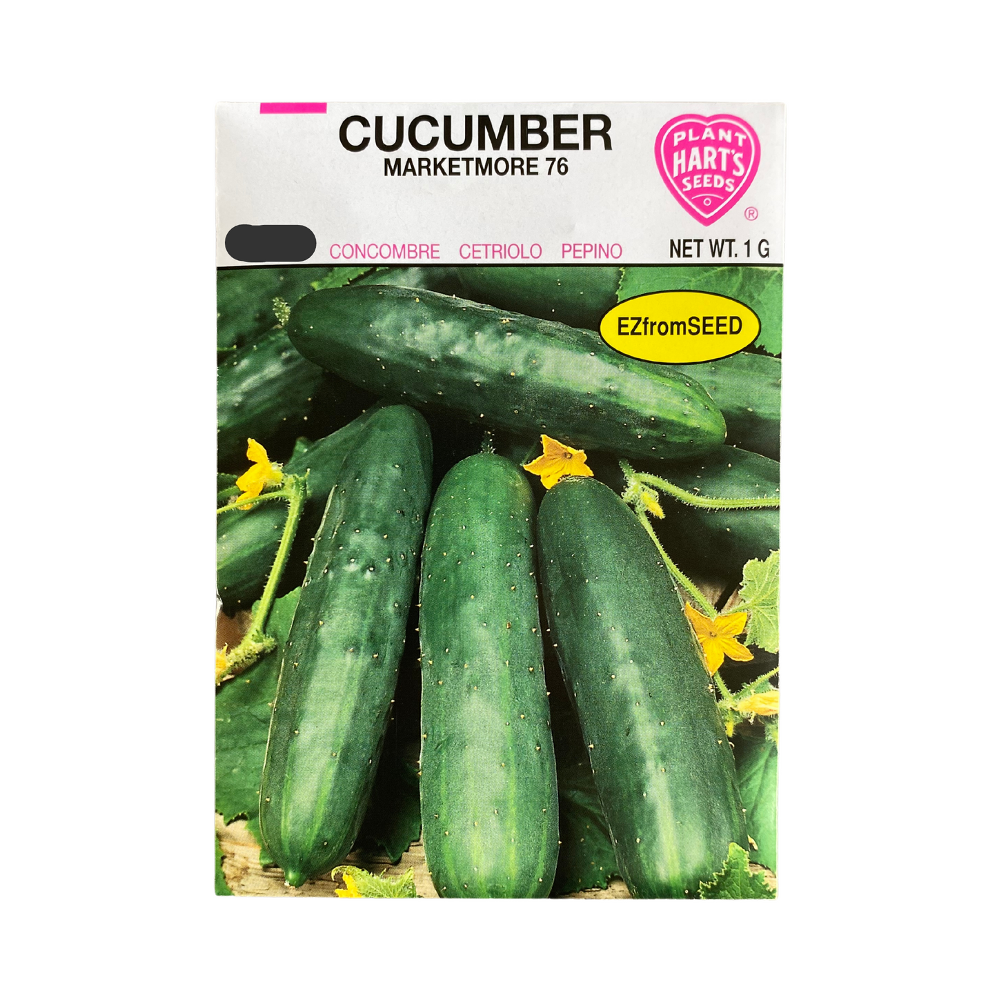 Cucumber Marketmore 76