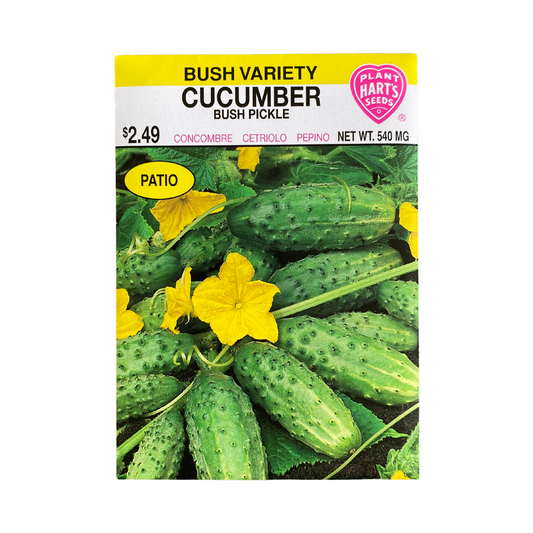 Cucumber Bush Pickle