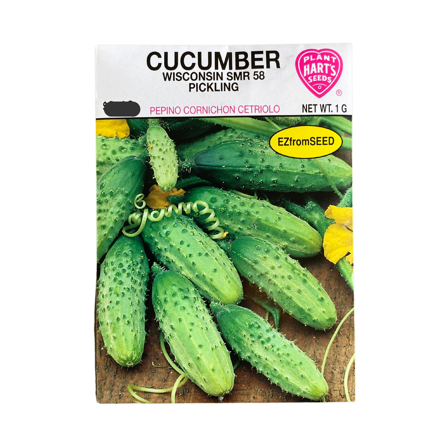 Cucumber Wisconsin SMR 58 Pickling