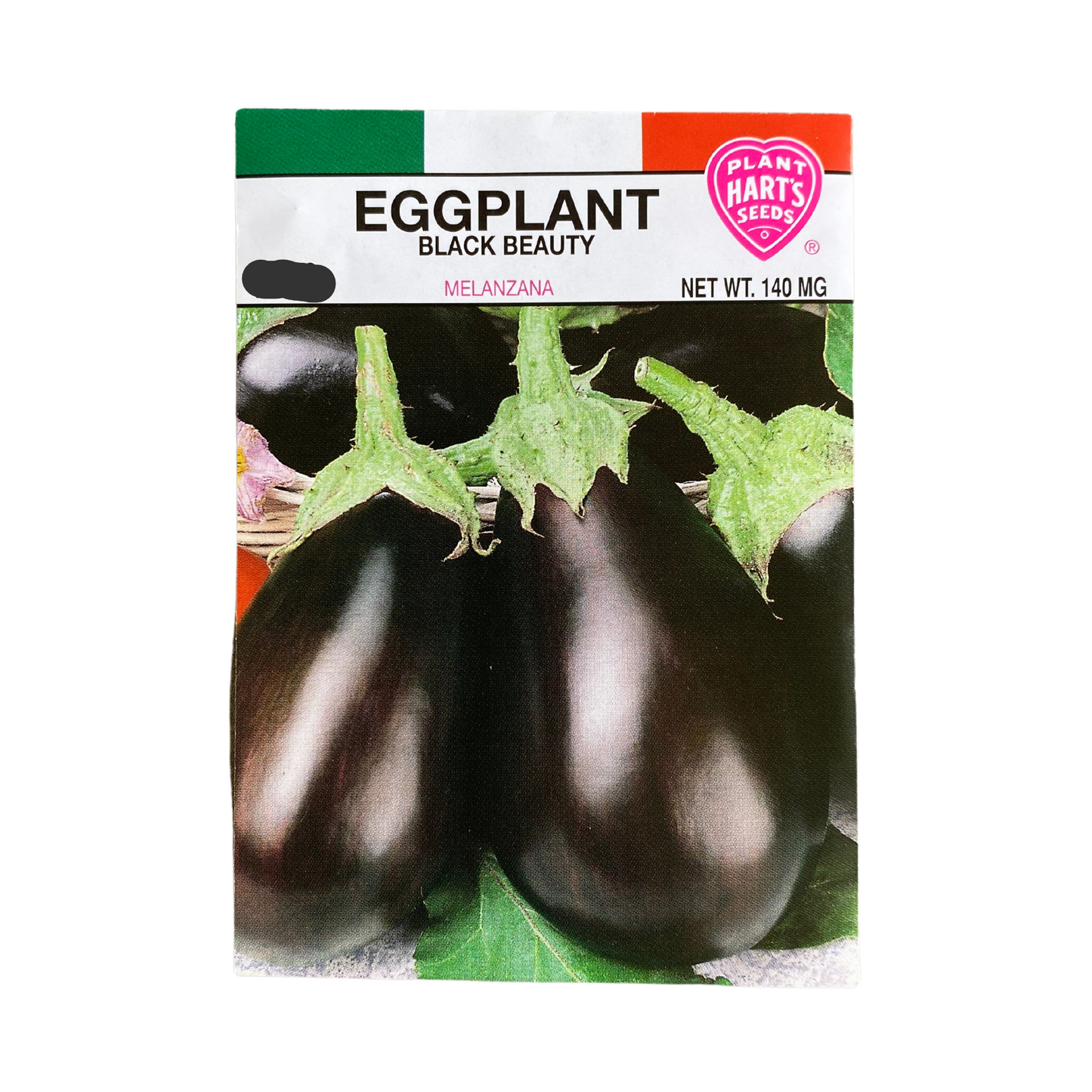 Eggplant Black Beauty
