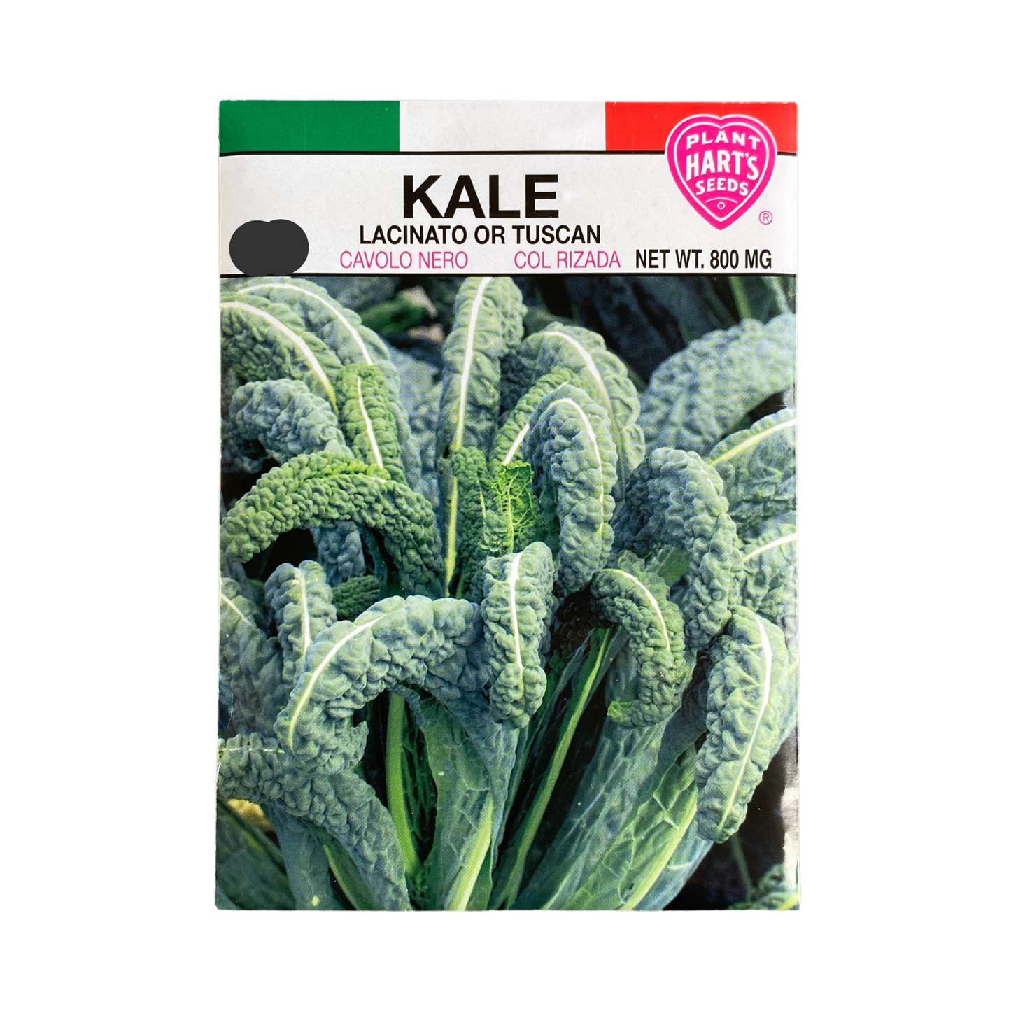 Kale Lacinato