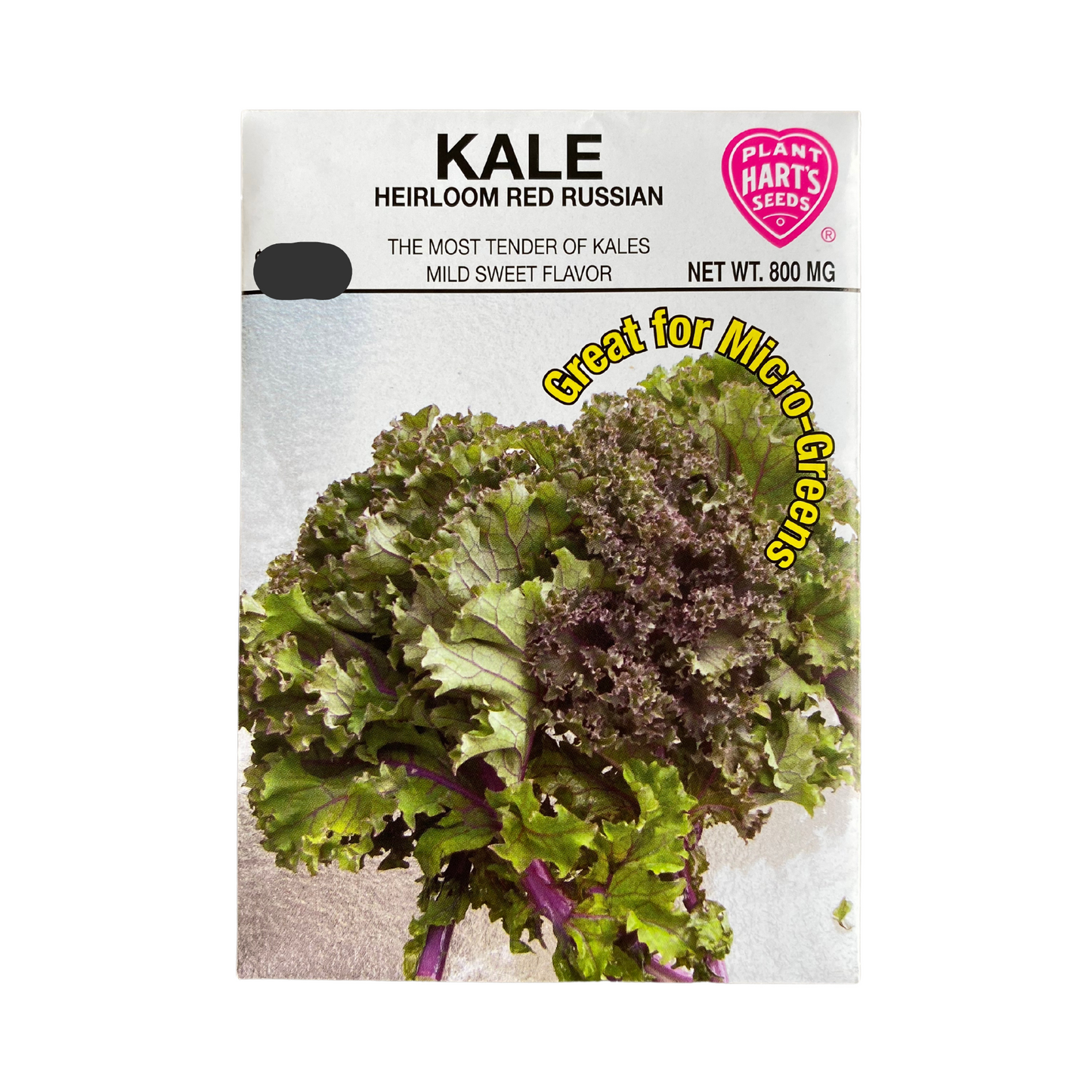 Kale Red Russian