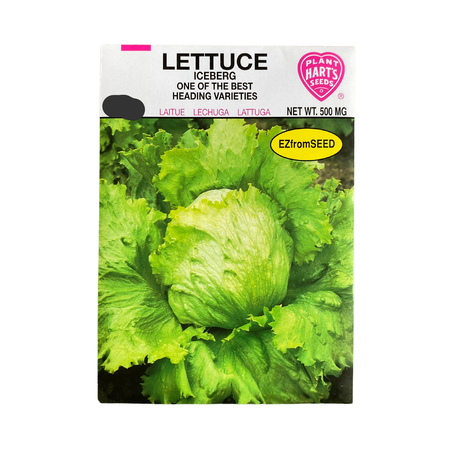 Lettuce Iceburg