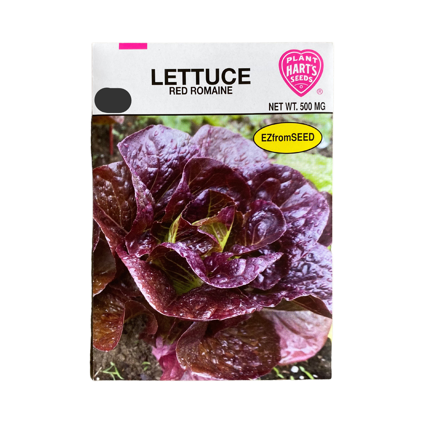 Lettuce Red Romaine
