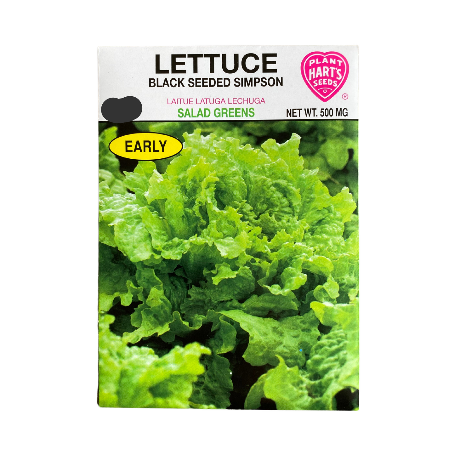 Lettuce Black Seeded Simpson