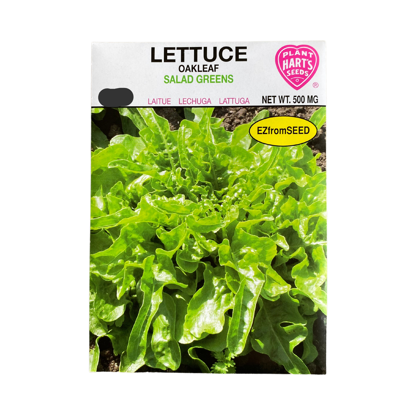 Lettuce Oakleaf
