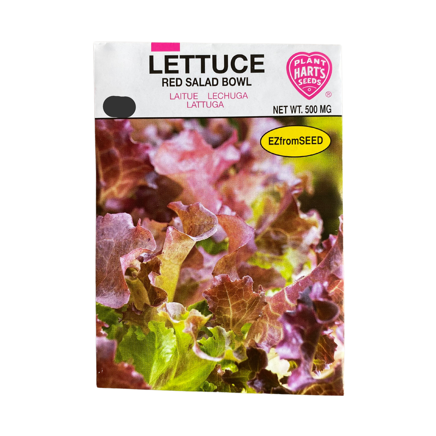 Lettuce Red Salad Bowl