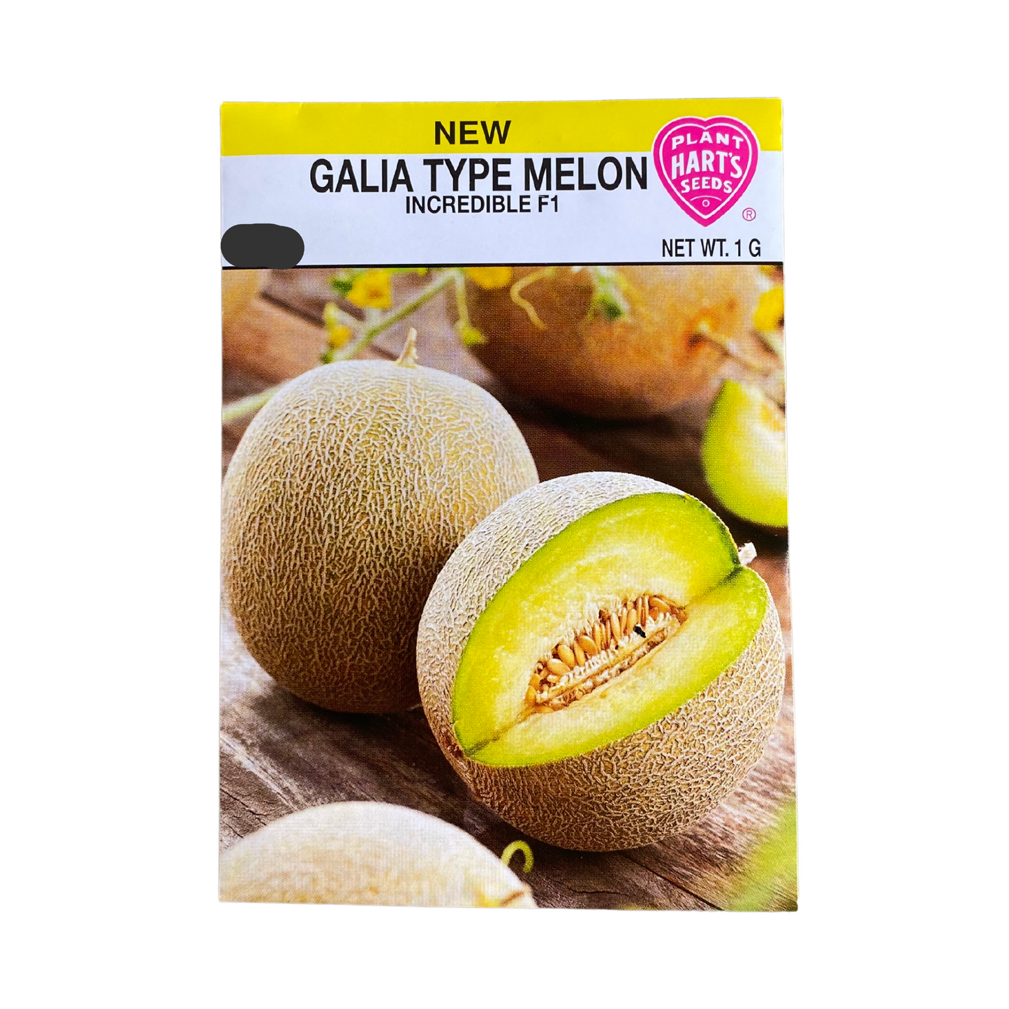 Melon Galia Incredible