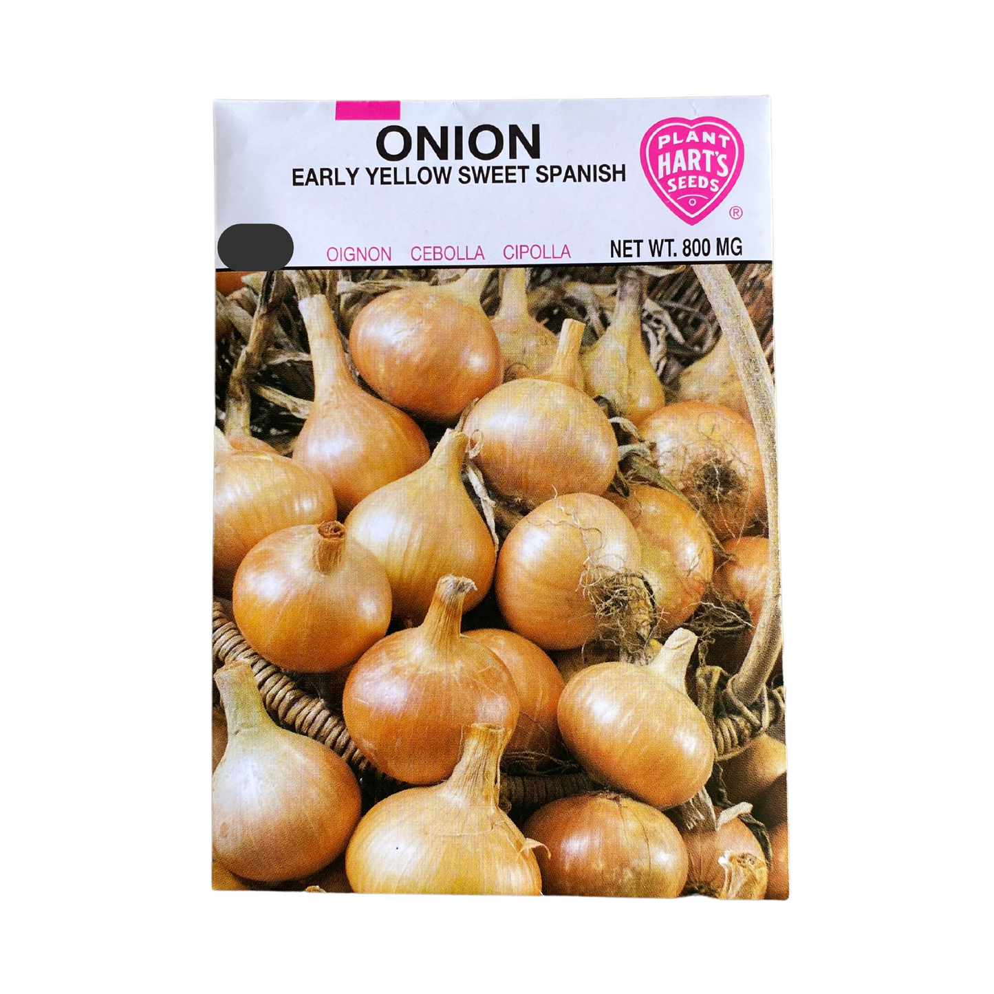 Onion Sweet Spanish