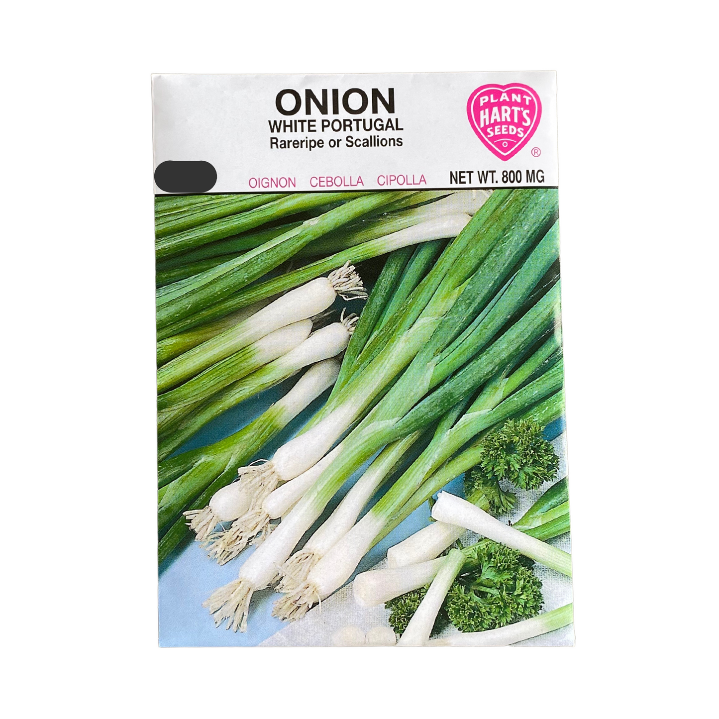 Onion White Portugal