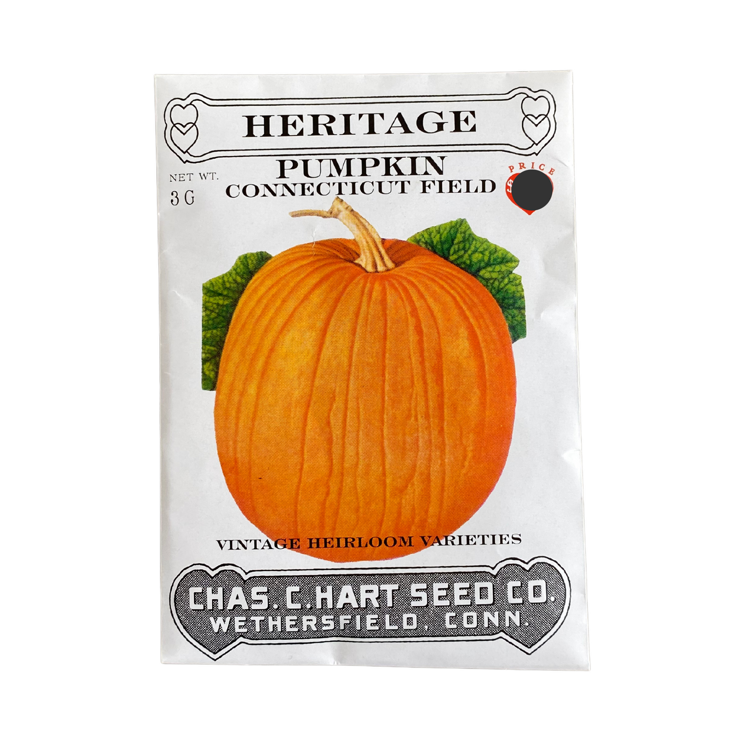 Heritage Pumpkin Connecticut Field