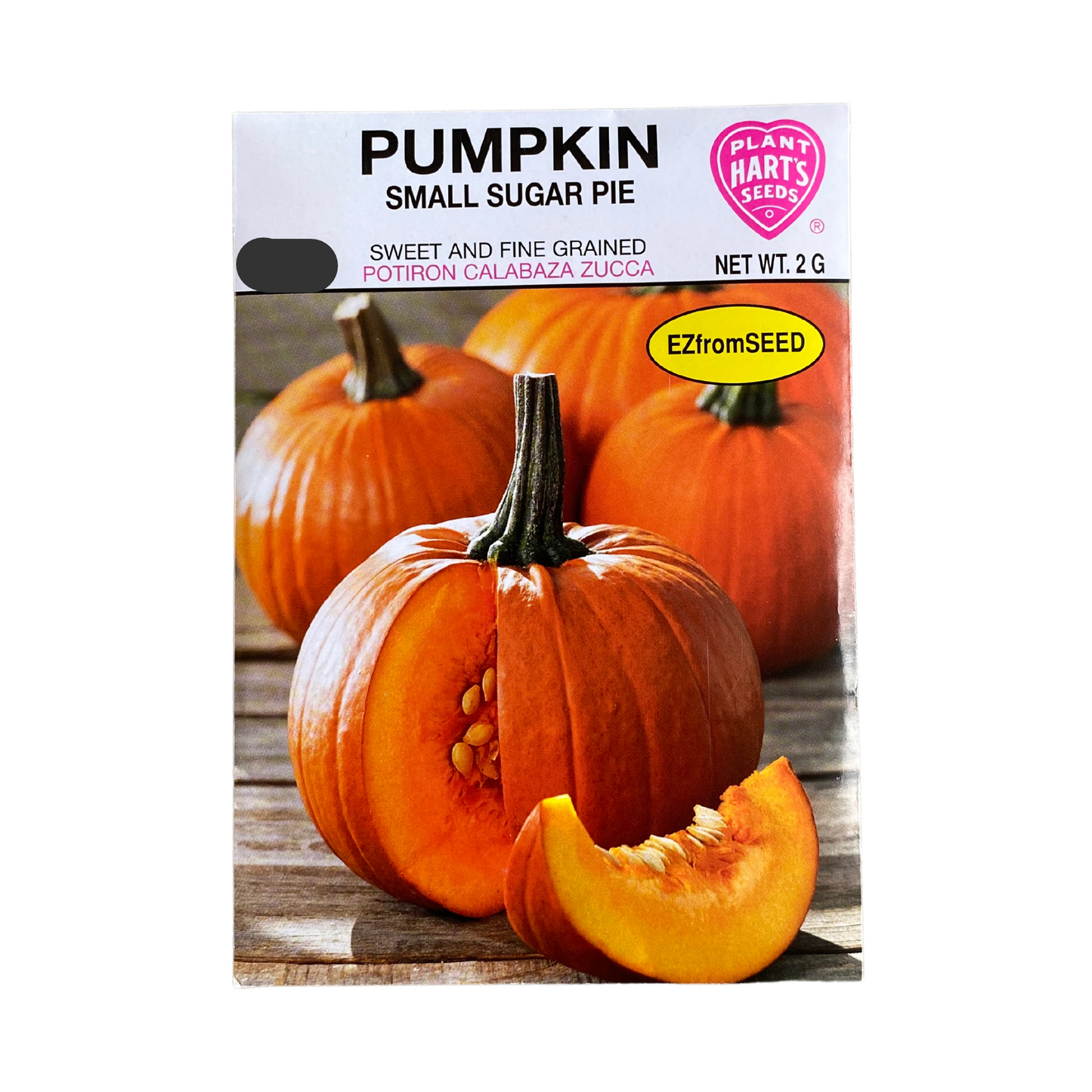 Pumpkin Small Sugar