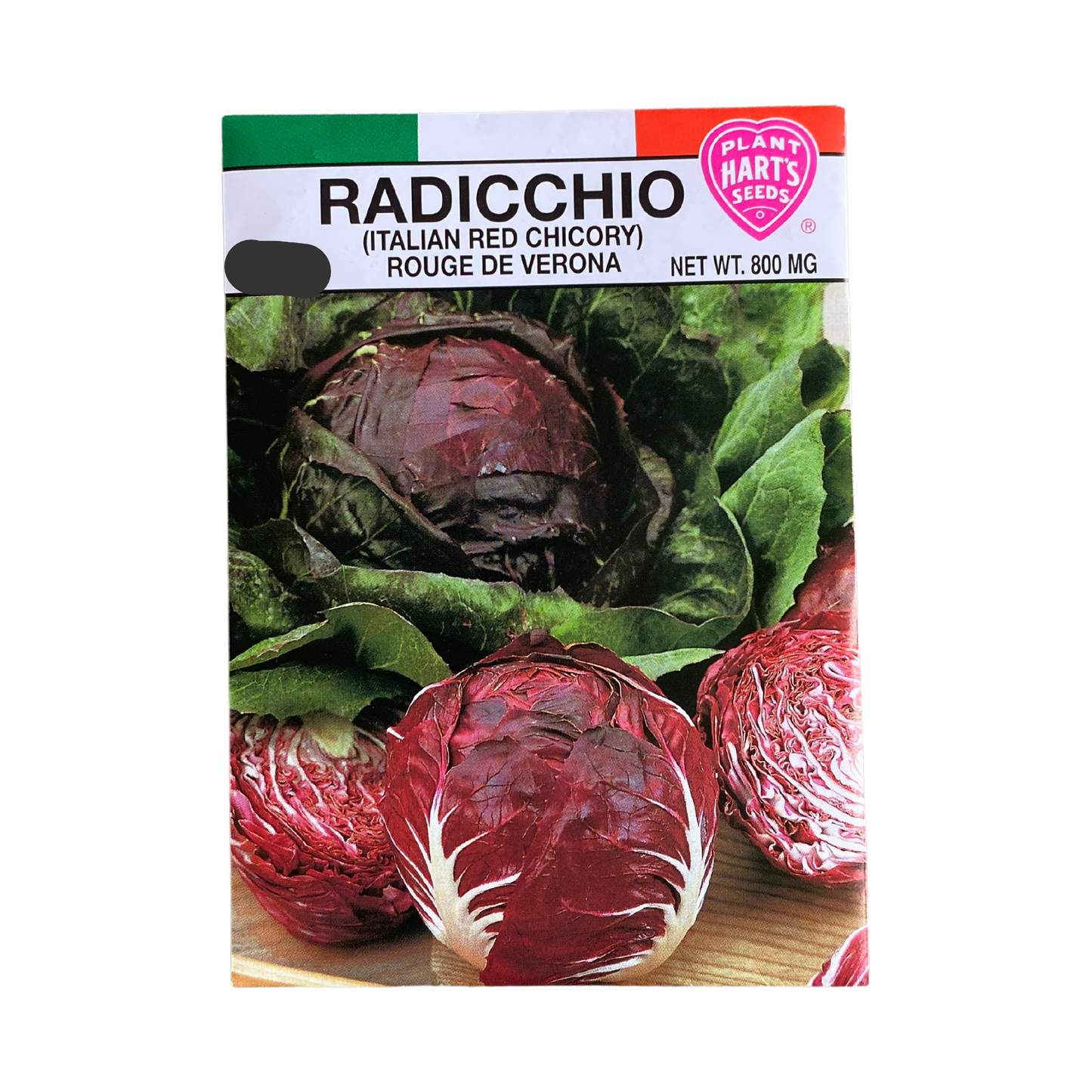 Radicchio