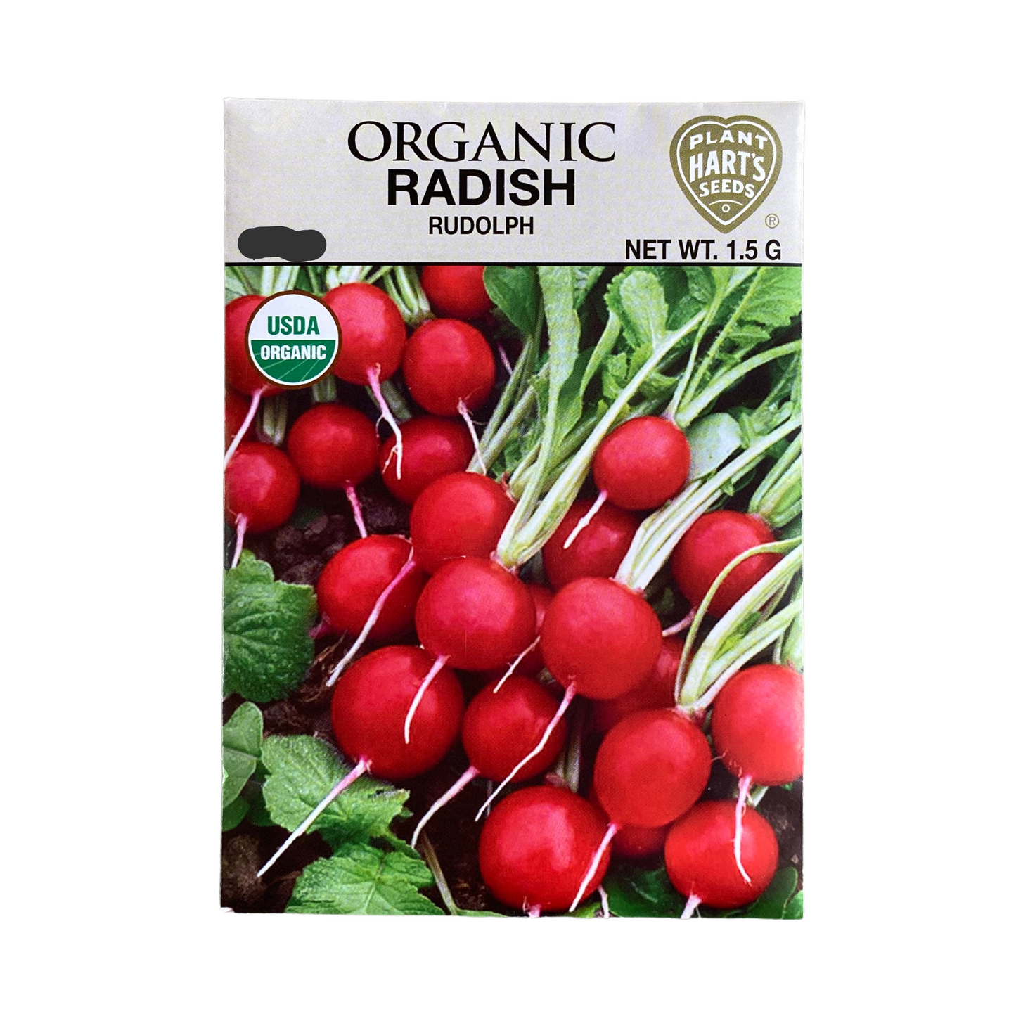 Organic Radish Rudolph