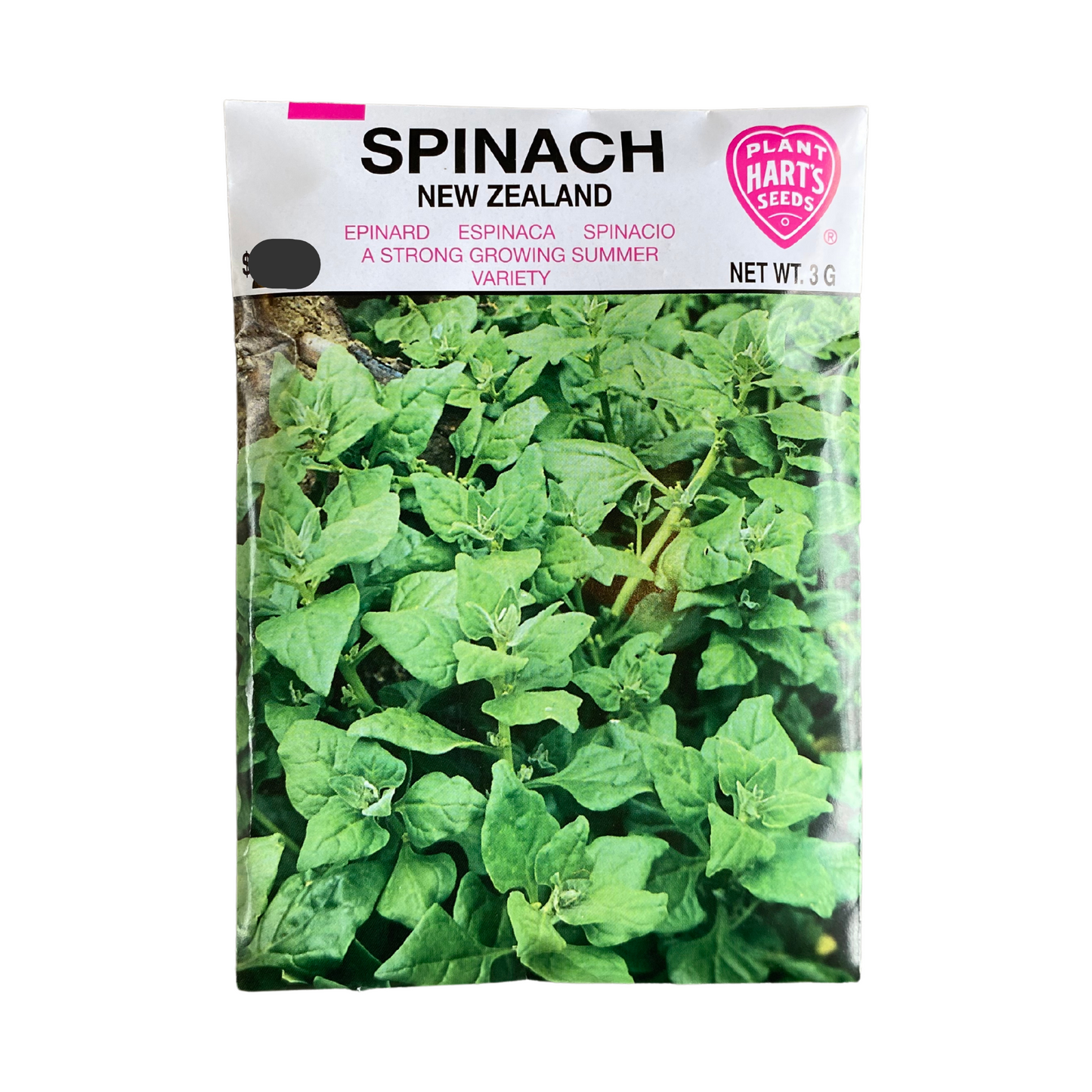 Spinach New Zealand