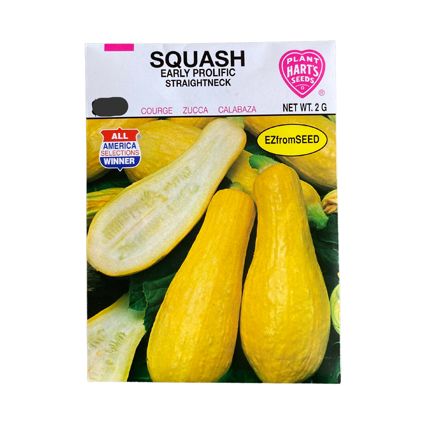 Squash Straightneck