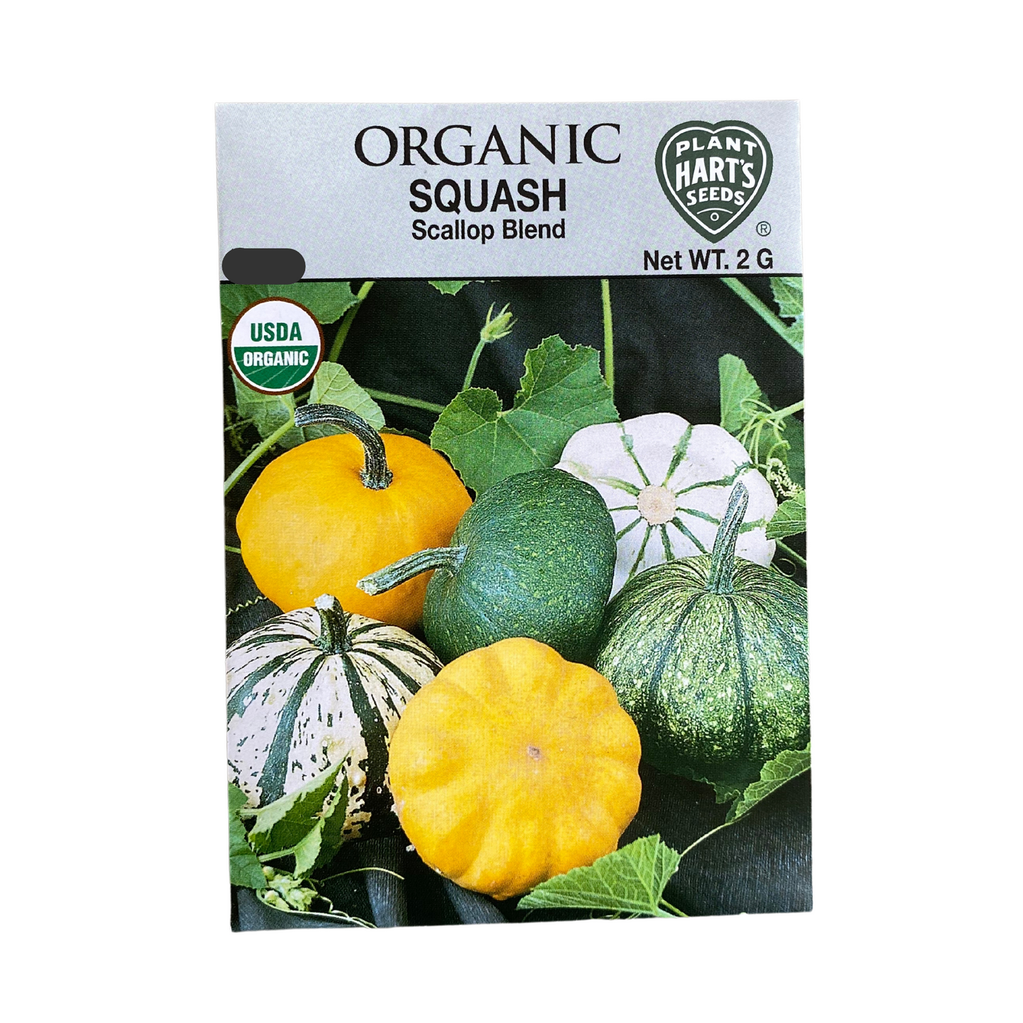 Organic Squash Bush Scallop Blend