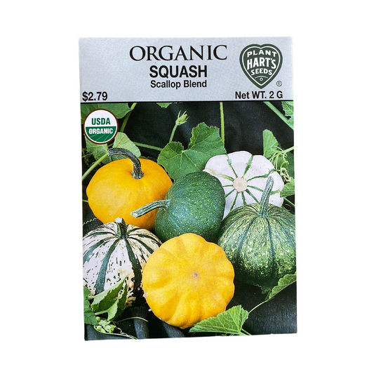 Organic Squash Bush Scallop Blend