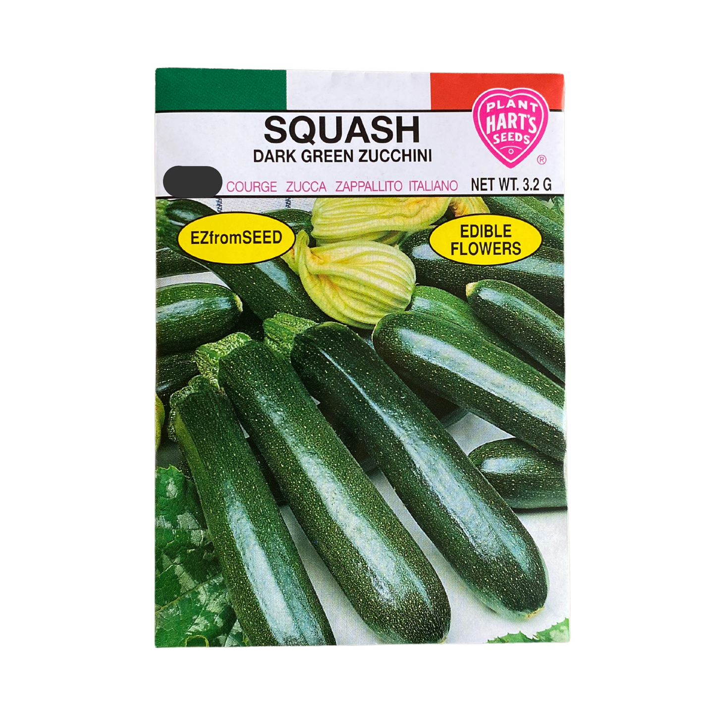 Squash Dark Green Zucchini
