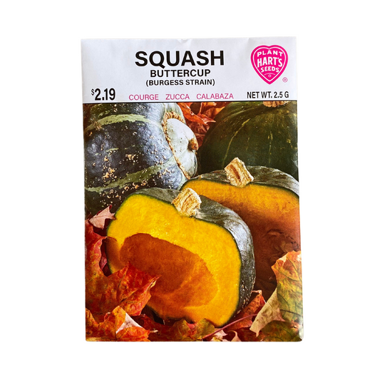 Squash Buttercup