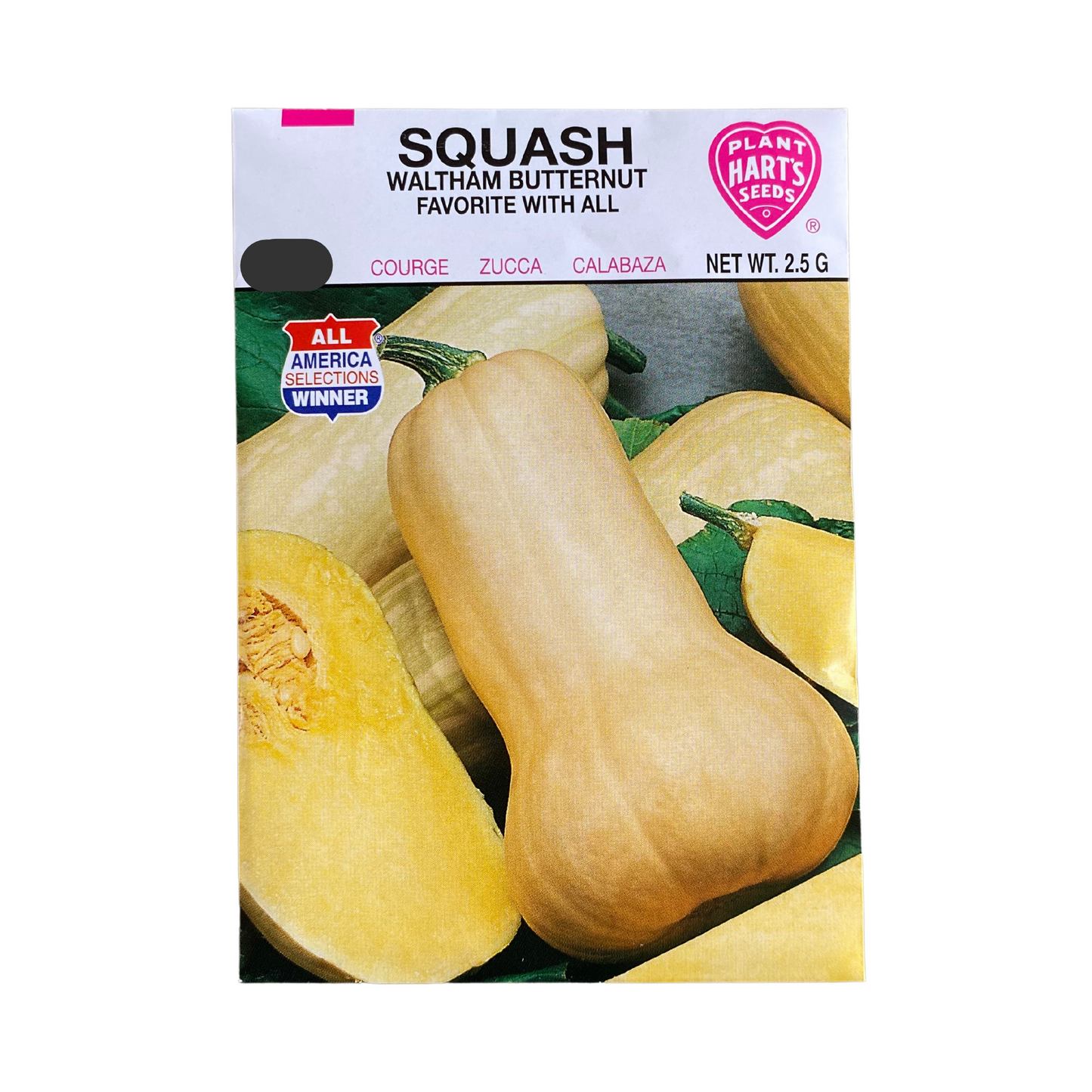 Squash Waltham Butternut