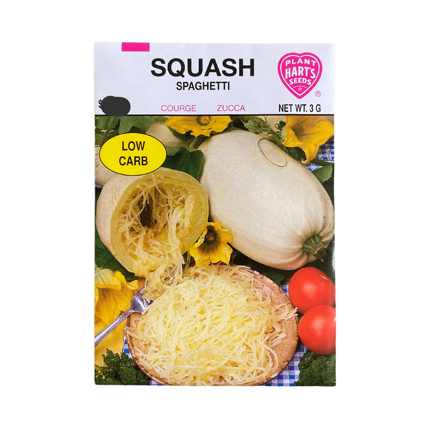 Squash Spaghetti