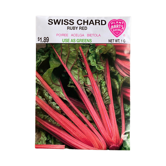 Swiss Chard Ruby Red