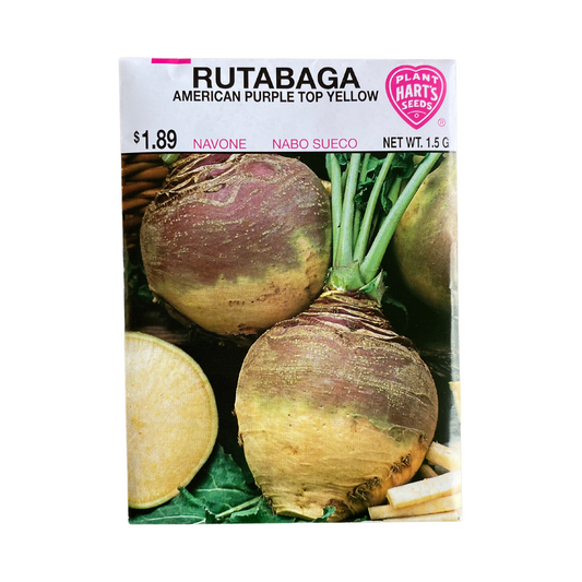 Rutabaga Purple Top