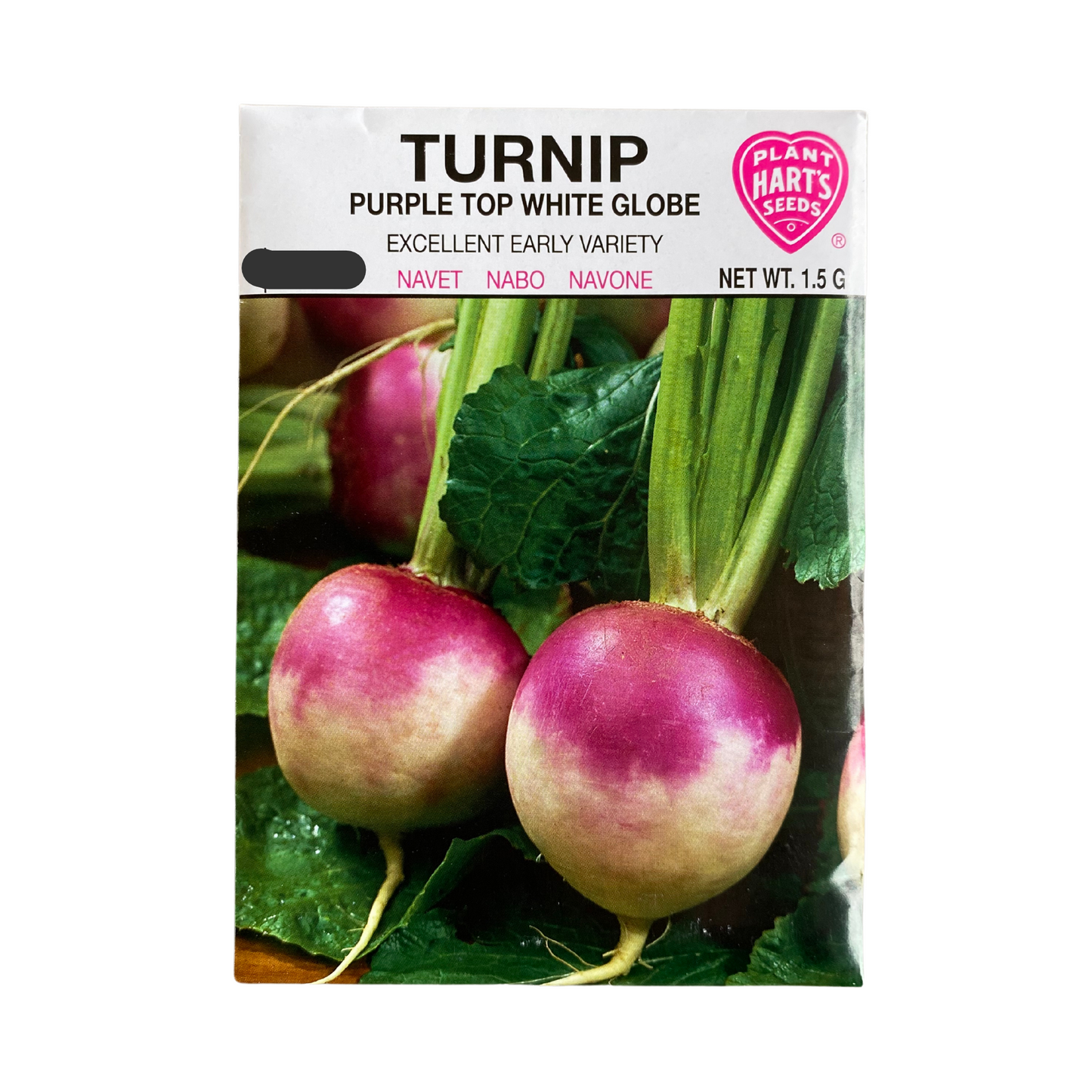 Turnip Purple Top