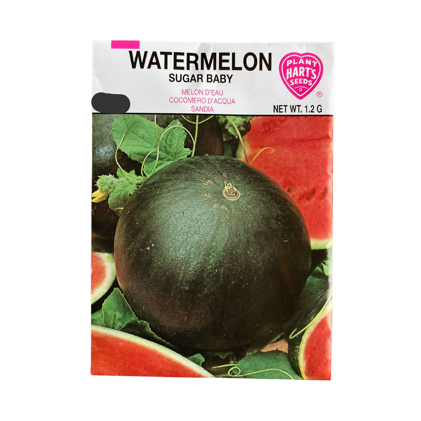 Watermelon Sugar Baby