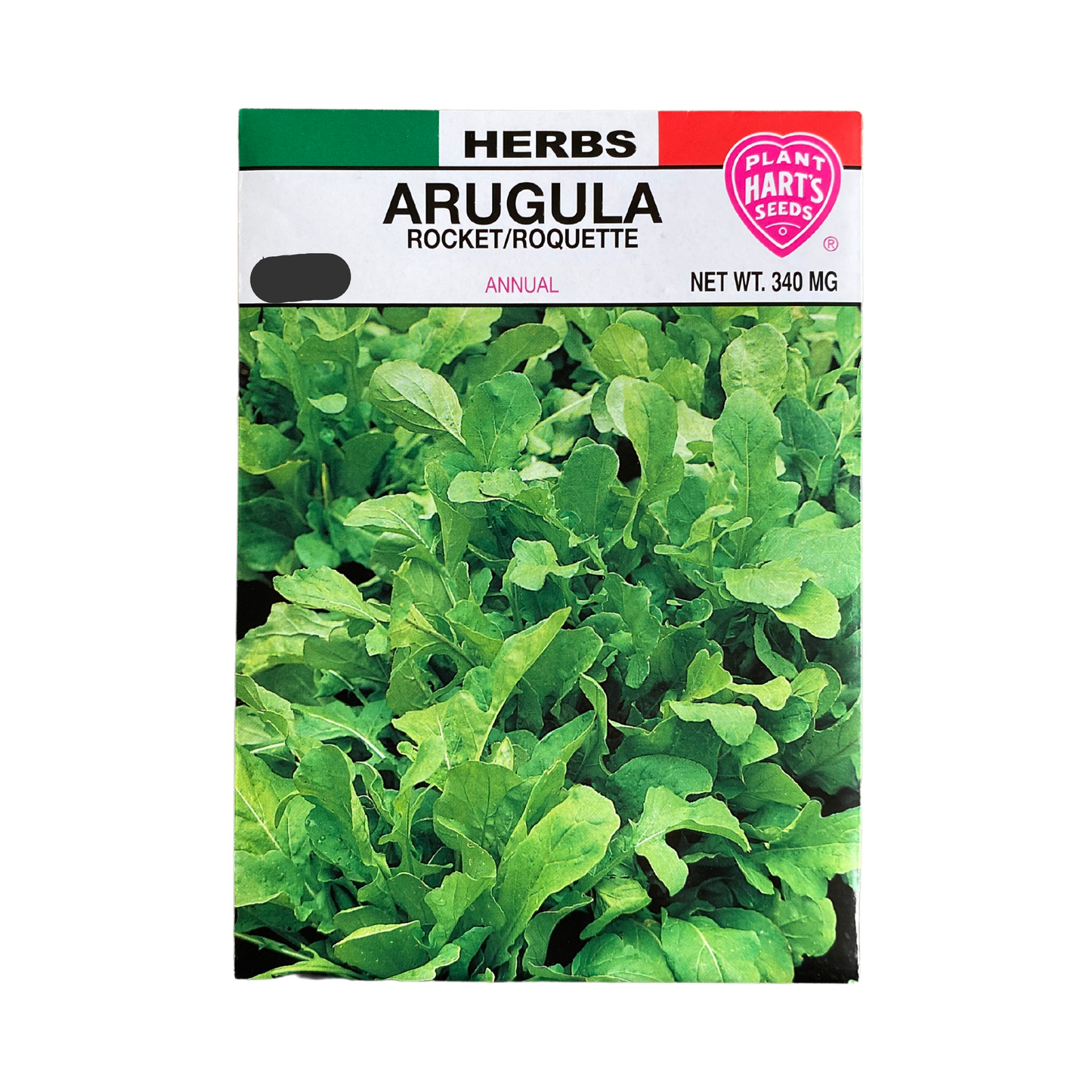 Herb Arugula