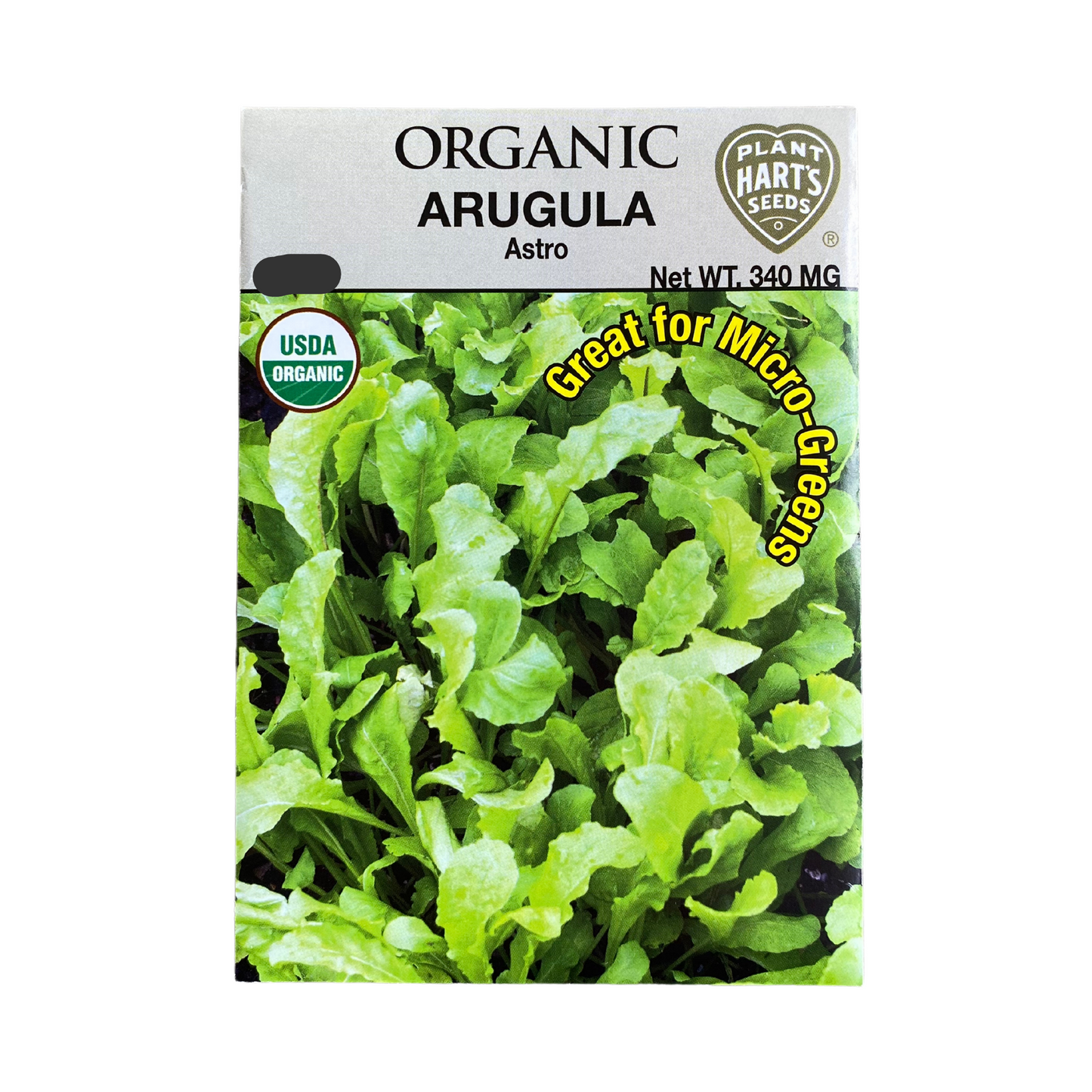 Organic Herb Arugula Astro