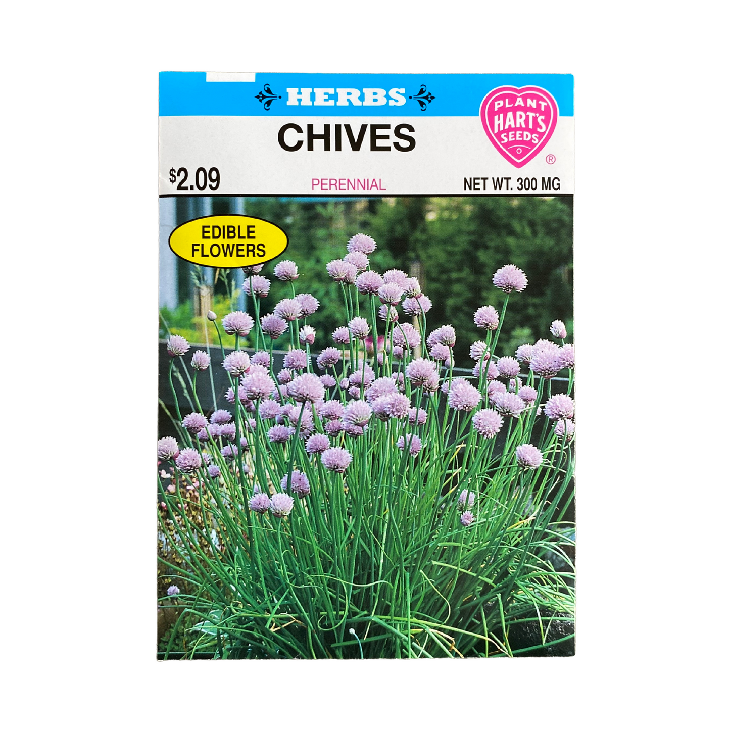 Herb Chives
