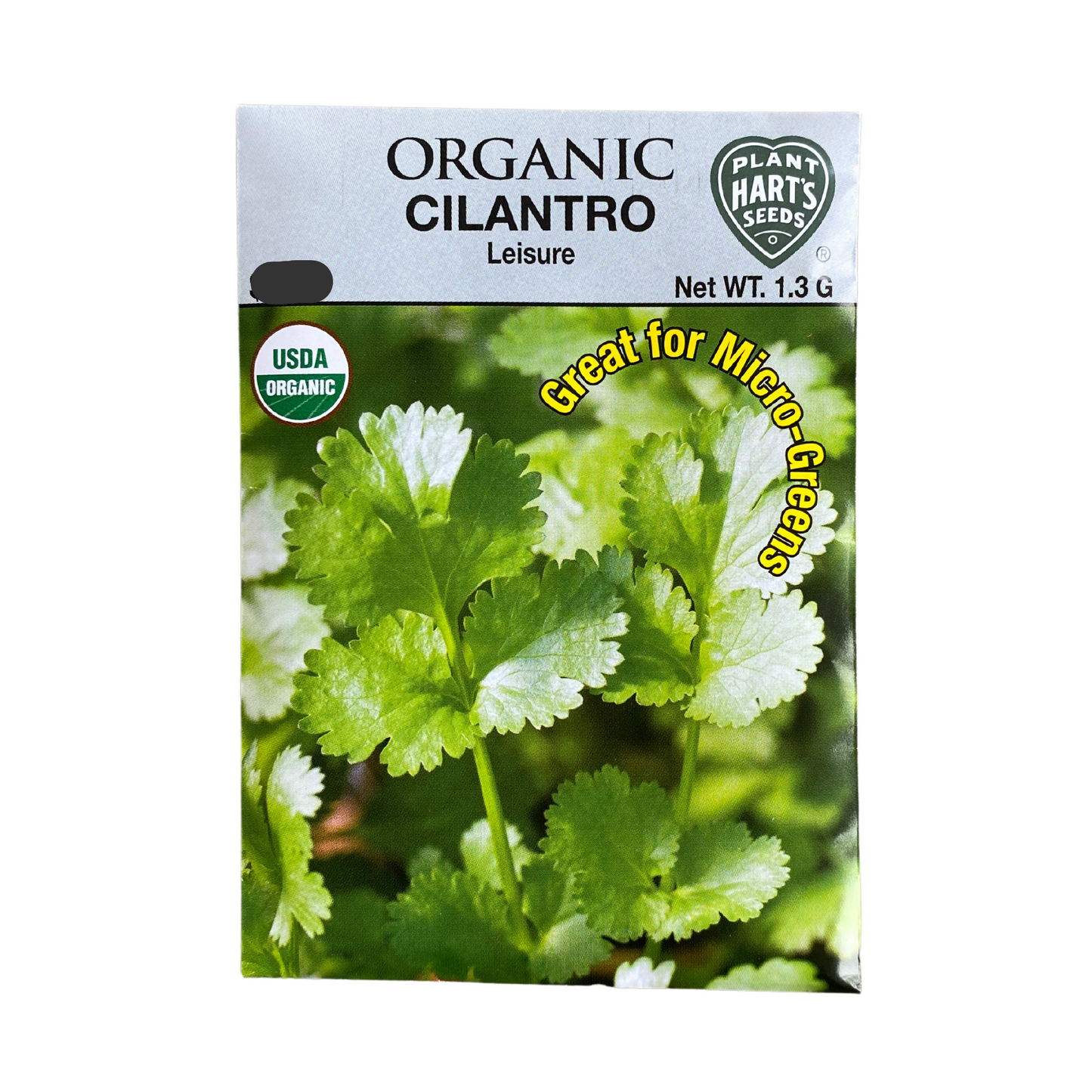 Organic Cilantro Leisure