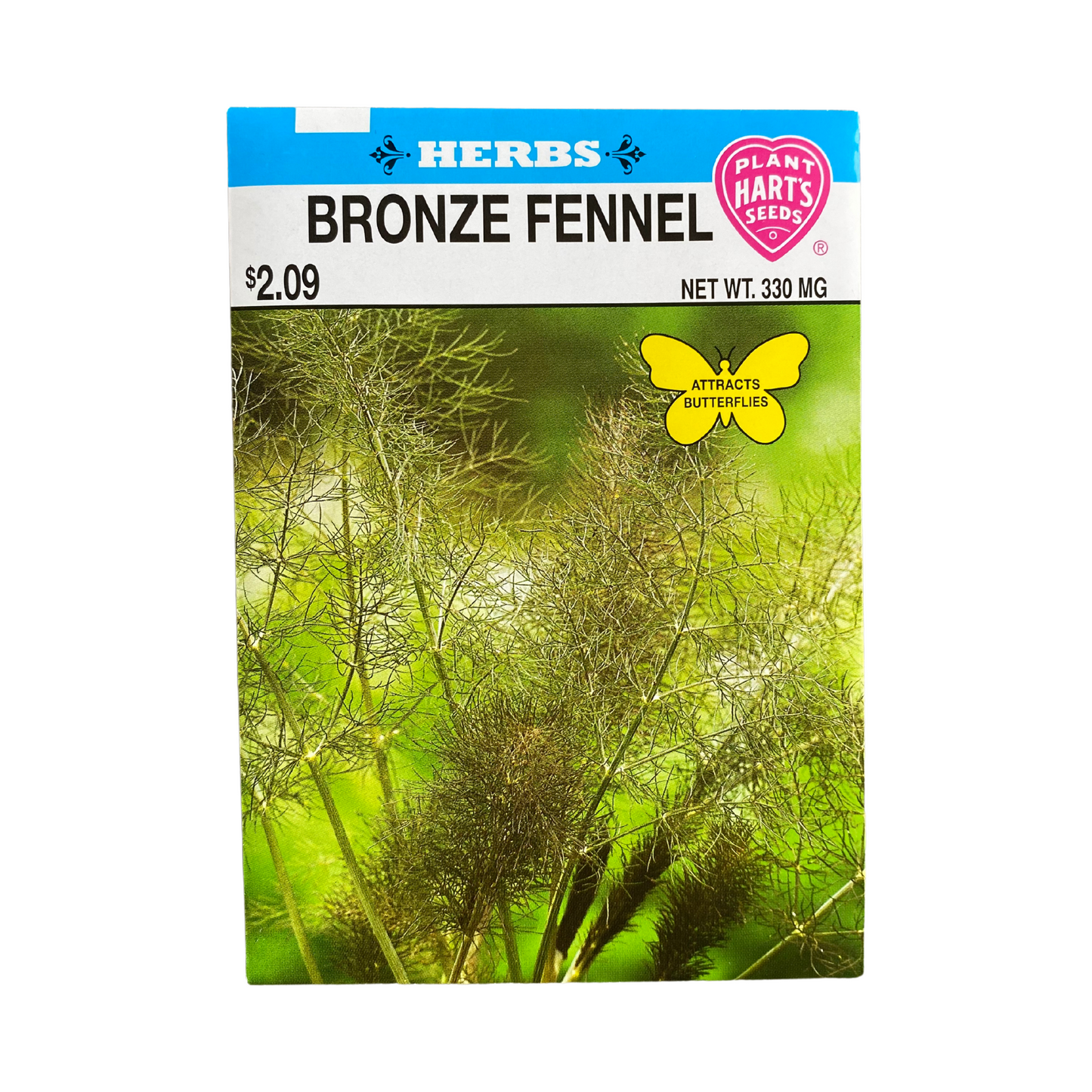 Herb Bronze Fennel