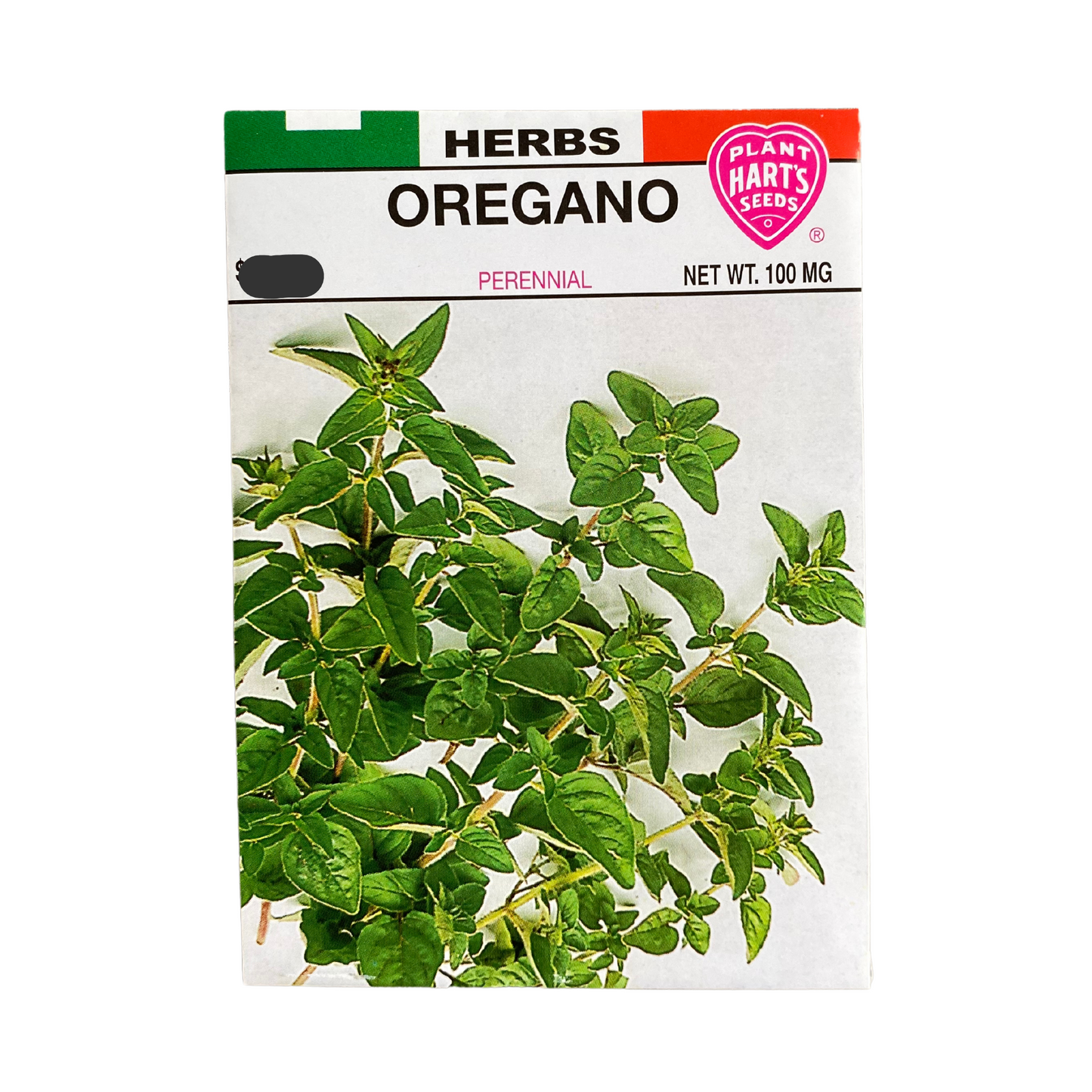 Herb Oregano