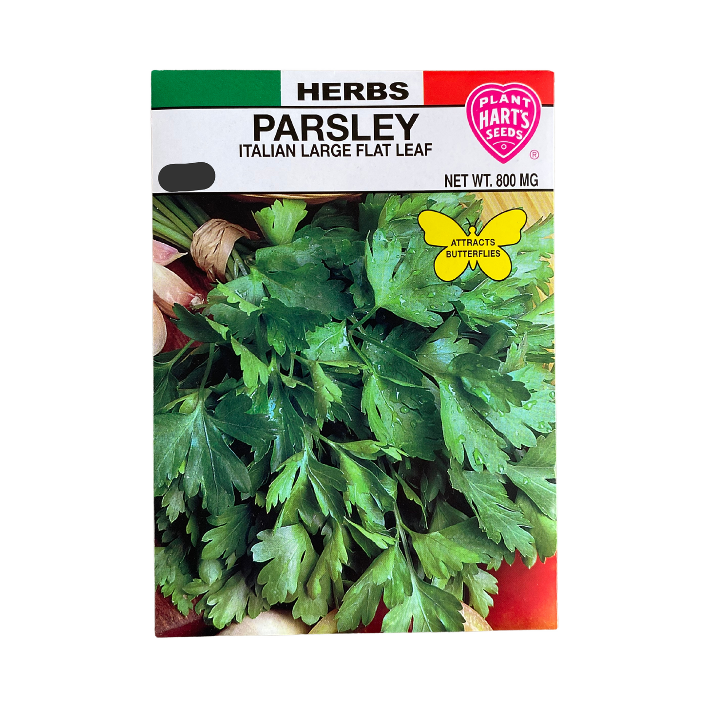 Herb Parsley Plain Leaf