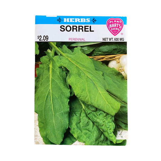 Herb Sorrel