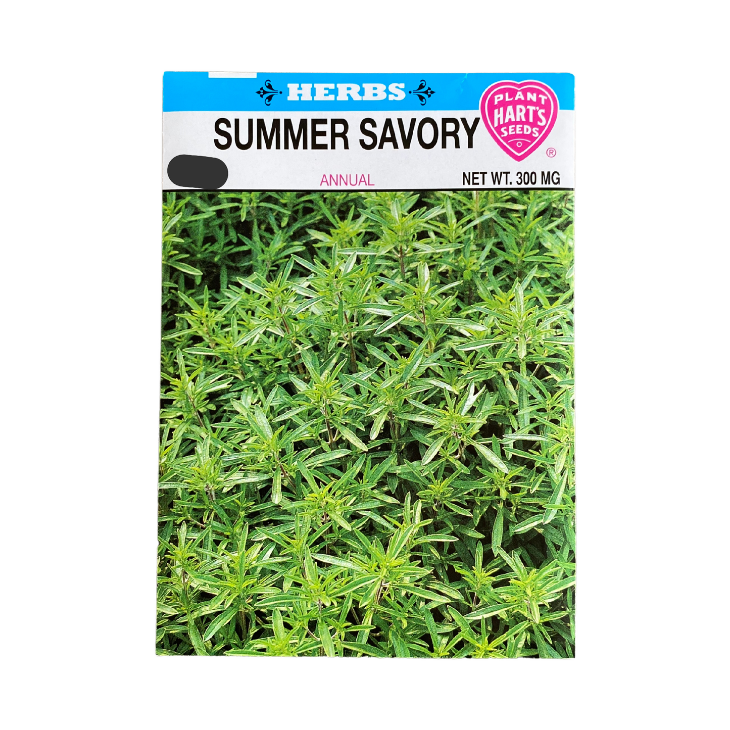 Herb Summer Savory