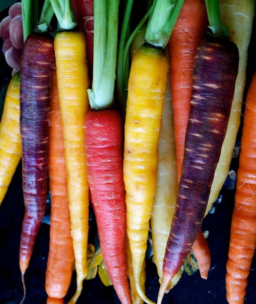 CARROT COLORED COMBINATION