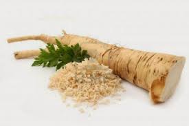 HORSERADISH ARMORACIA RUSTICANA - 4" Pot