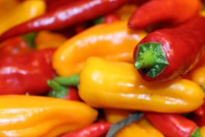 PEPPER YUMMI BLEND - 4" POT